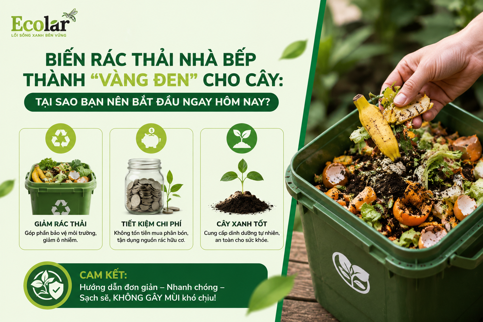 Biến Rác Thải Nhà Bếp Thành “Vàng Đen” Cho Cây: Tại Sao Bạn Nên Bắt Đầu Ngay Hôm Nay?
