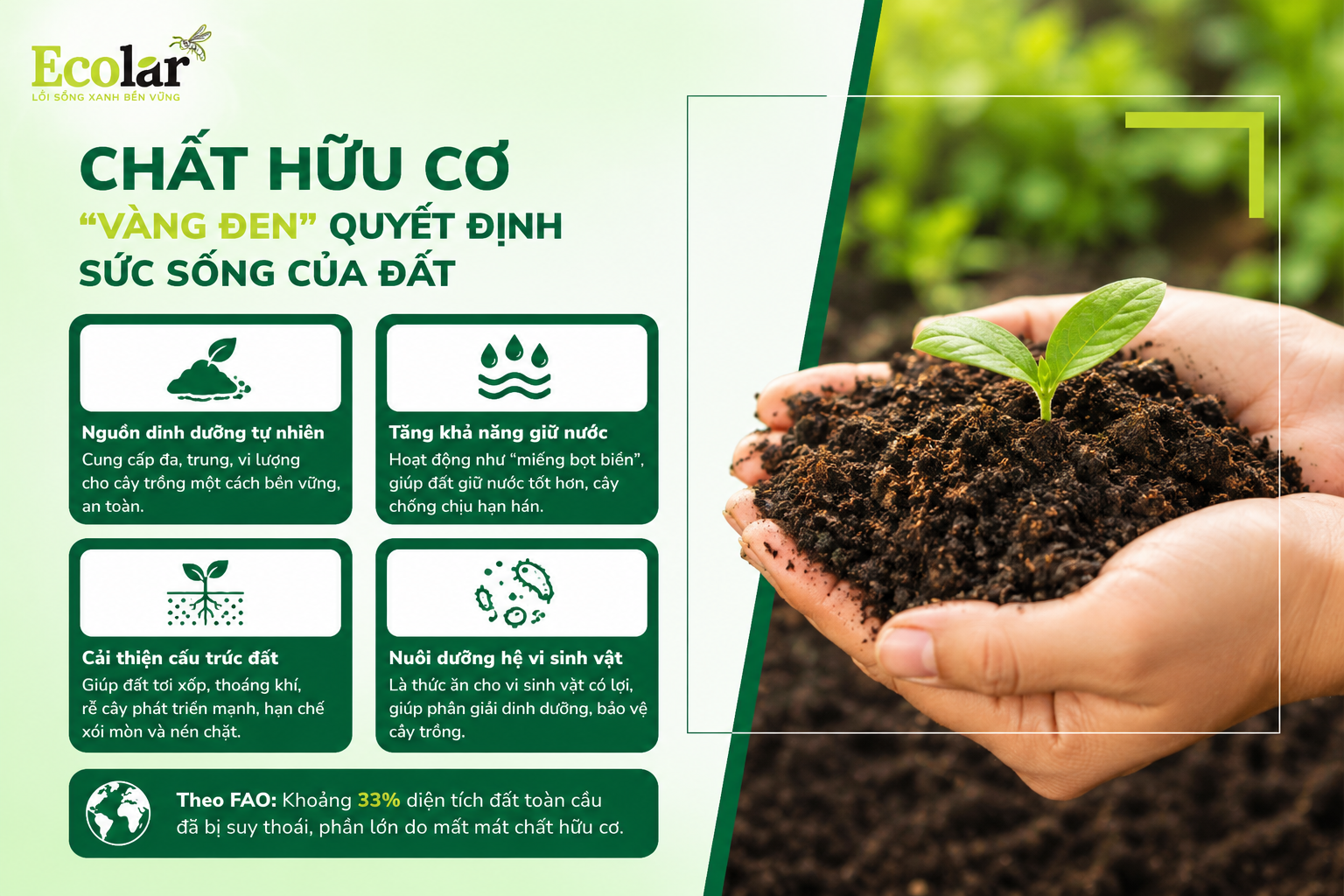 Nền Tảng Cốt Lõi: Chất Hữu Cơ - 'Vàng Đen' Quyết Định Sức Sống Của Đất