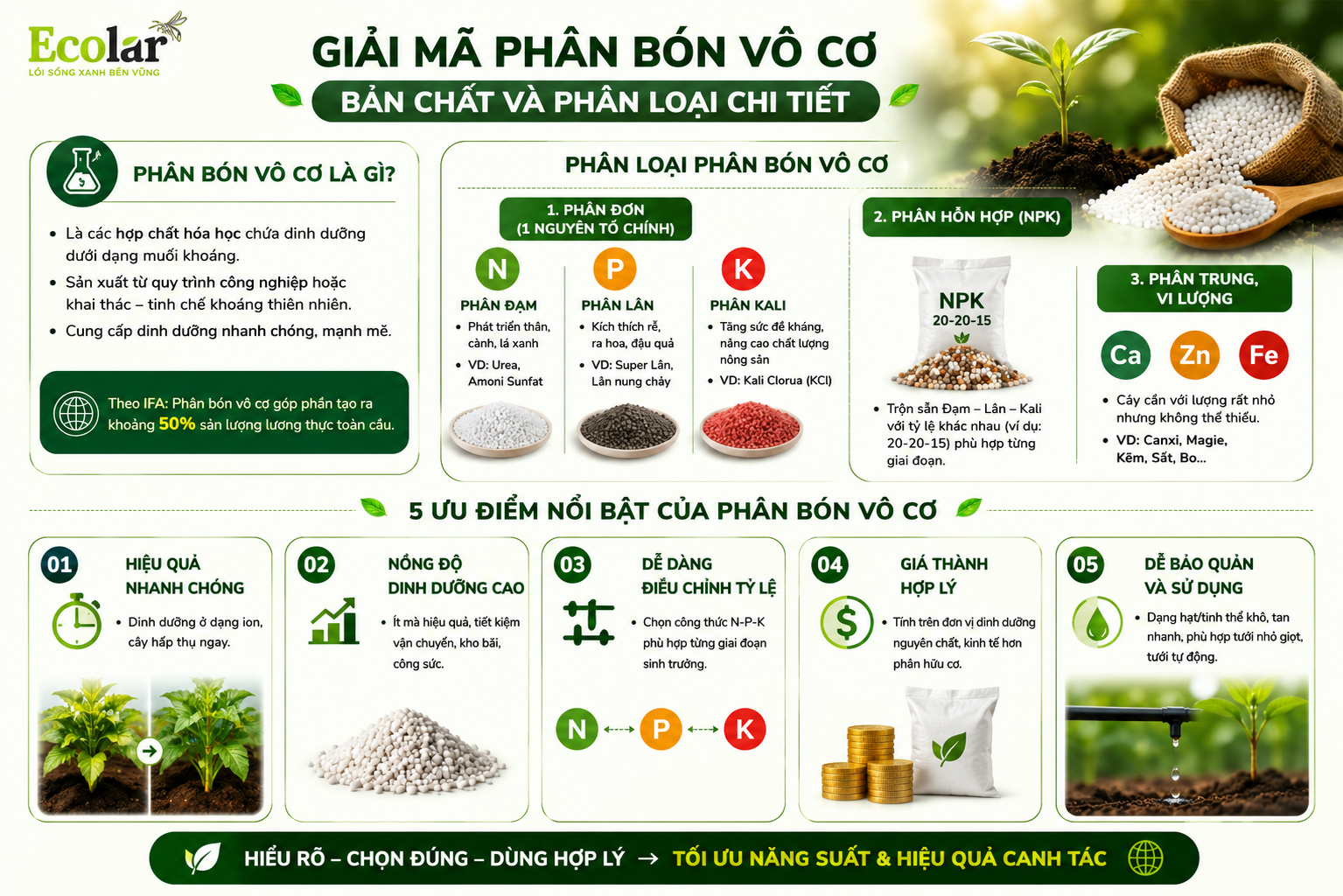 Giải Mã Phân Bón Vô Cơ - Bản Chất Và Phân Loại Chi Tiết