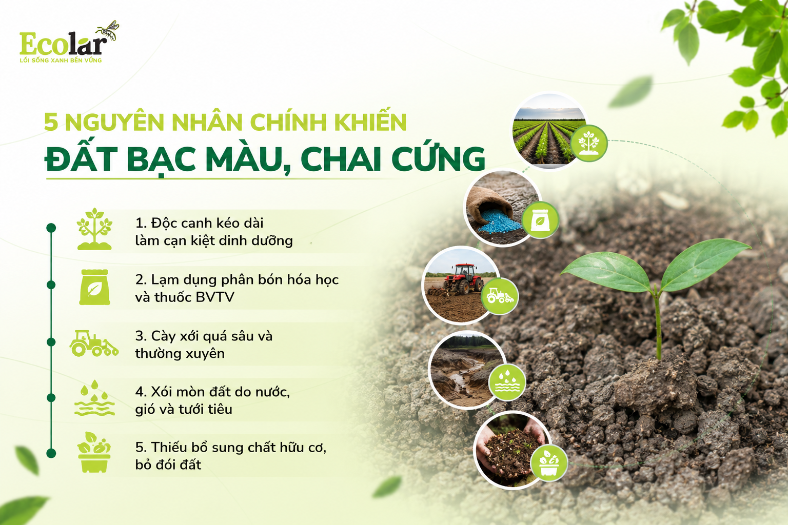 Đất Bạc Màu Là Gì & 4 Dấu Hiệu Nhận Biết Đất Đang 'Kêu Cứu'