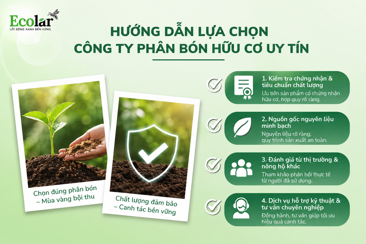 Hướng Dẫn Lựa Chọn Công Ty Phân Bón Hữu Cơ Uy Tín
