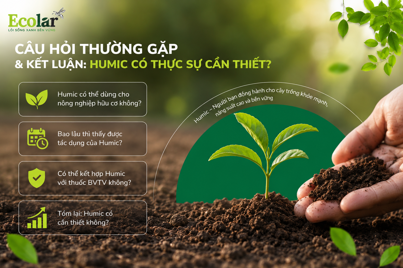 Câu Hỏi Thường Gặp & Kết Luận: Humic Có Thực Sự Cần Thiết?