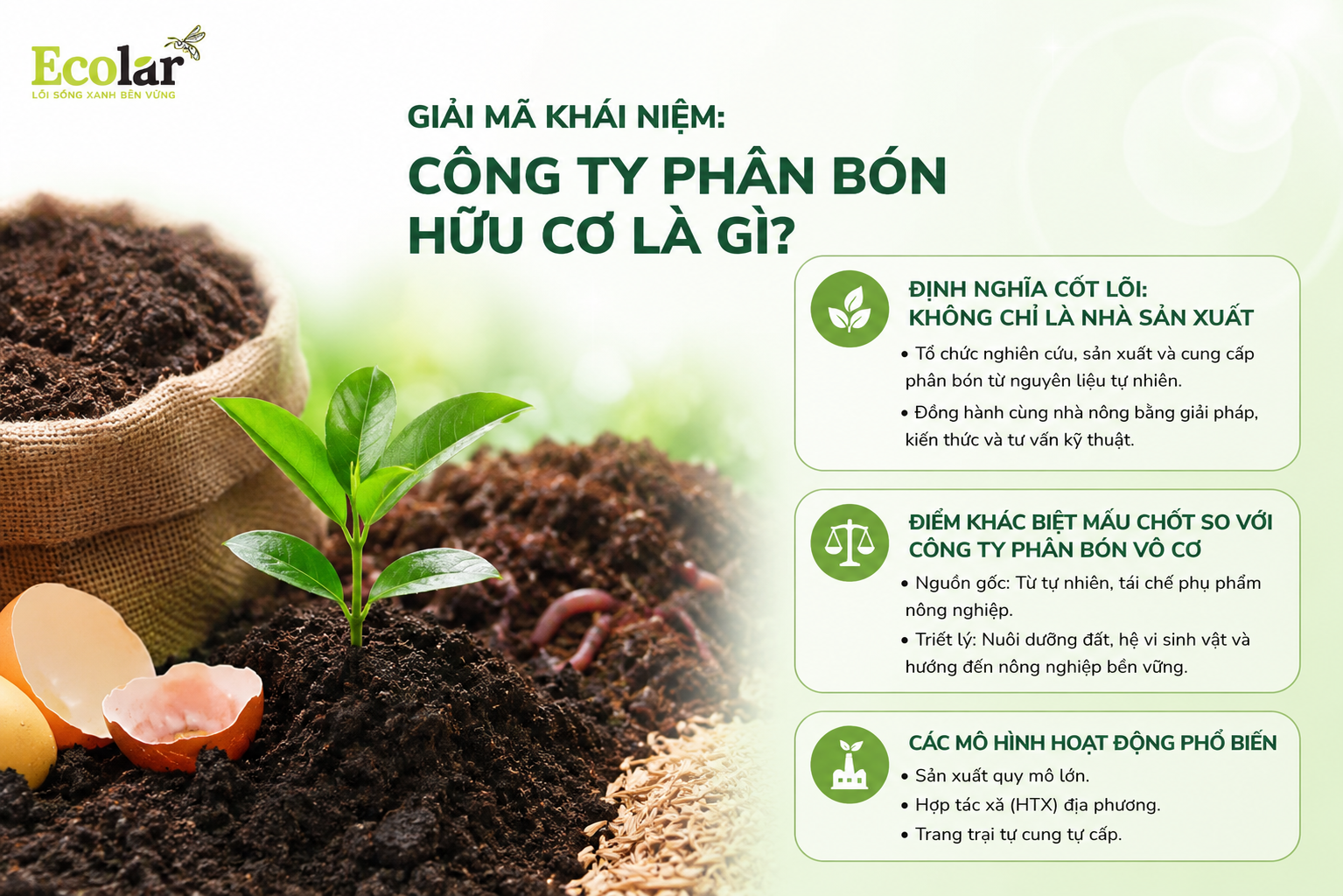 Giải mã khái niệm: Công ty phân bón hữu cơ là gì?