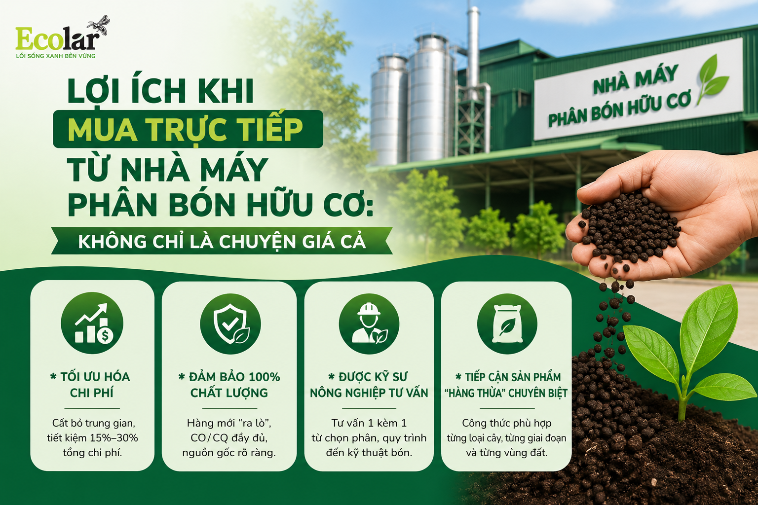Lợi Ích Khi Mua Trực Tiếp Từ Nhà Máy Phân Bón Hữu Cơ: Không Chỉ Là Chuyện Giá Cả