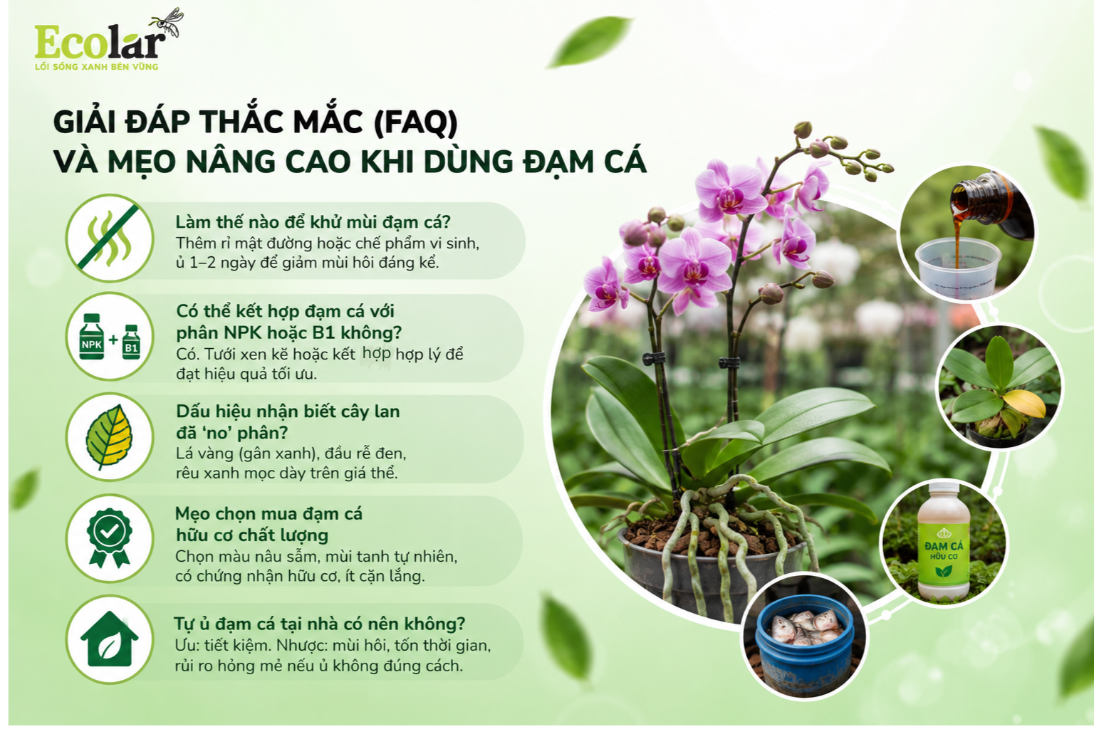 Giải Đáp Thắc Mắc (FAQ) Và Mẹo Nâng Cao Khi Dùng Đạm Cá