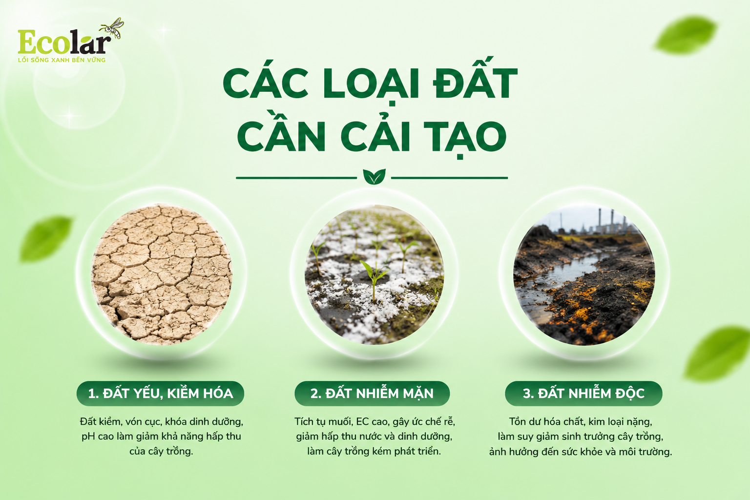 Các Loại Đất Cần Cải Tạo