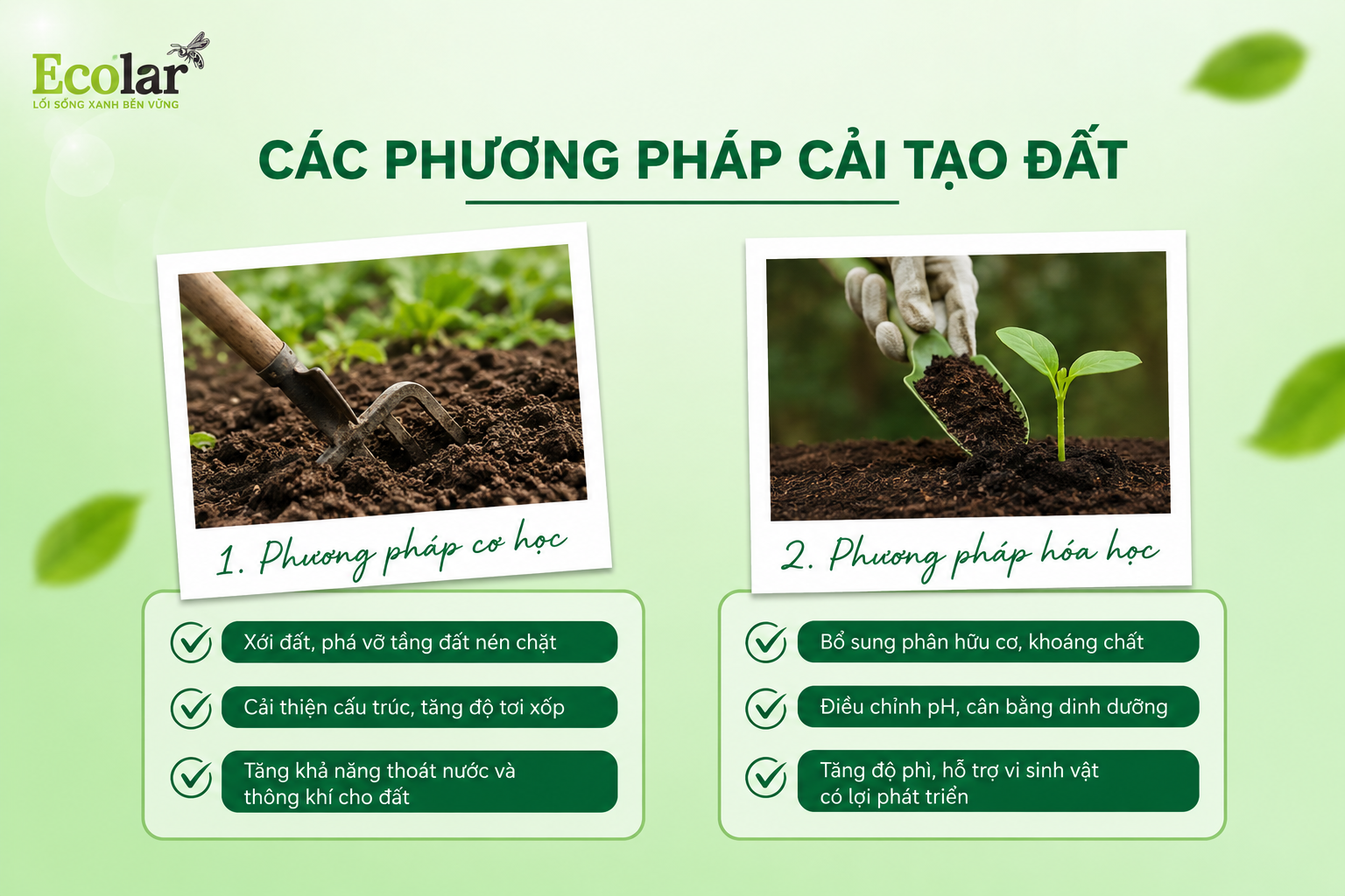 Các Phương Pháp Cải Tạo Đất