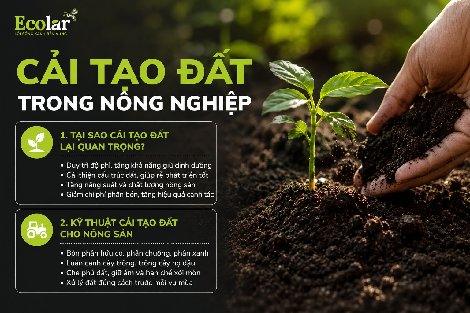 Cải Tạo Đất trong Nông Nghiệp