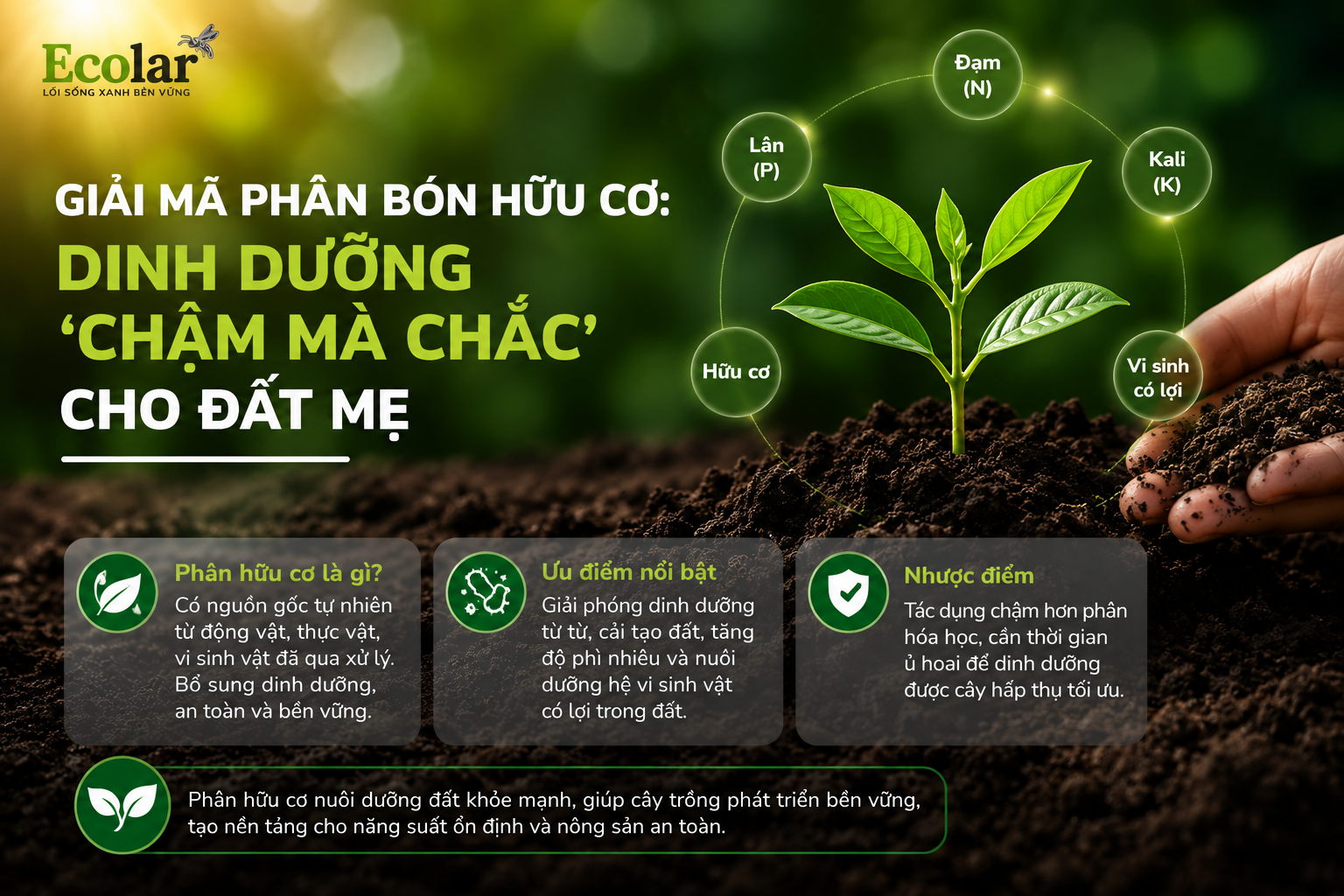 Giải Mã Phân Bón Hữu Cơ: Dinh Dưỡng 'Chậm Mà Chắc' Cho Đất Mẹ