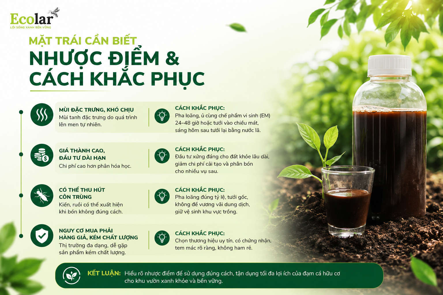 Mặt Trái Cần Biết: Những Nhược Điểm Và Cách Khắc Phục