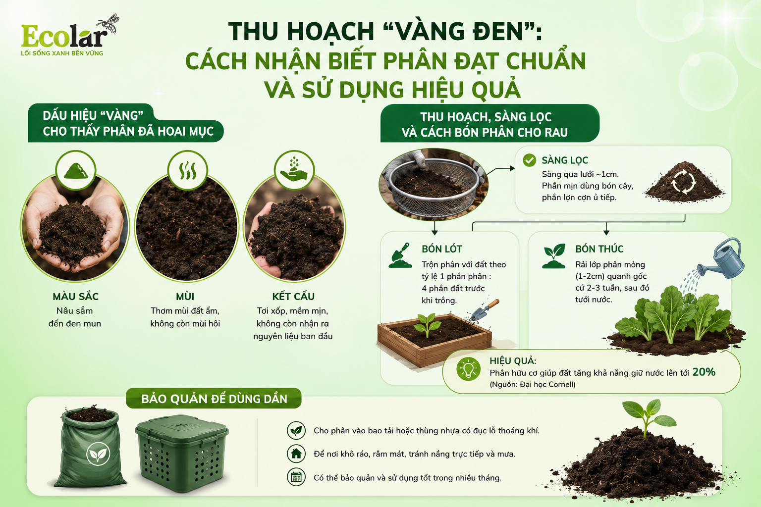 Thu Hoạch “Vàng Đen”: Cách Nhận Biết Phân Đạt Chuẩn và Sử Dụng Hiệu Quả