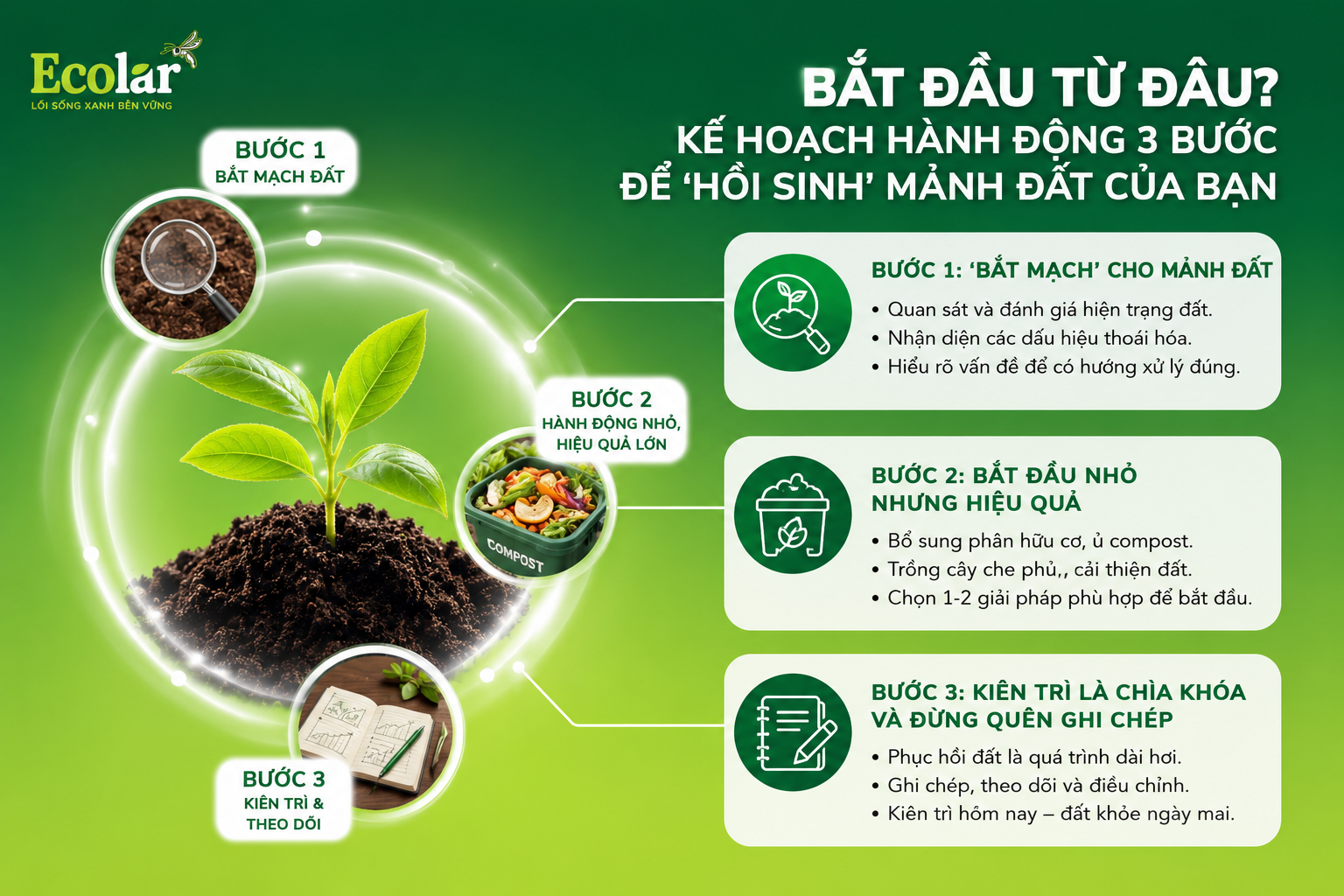 Bắt Đầu Từ Đâu? Kế Hoạch Hành Động 3 Bước Để 'Hồi Sinh' Mảnh Đất Của Bạn