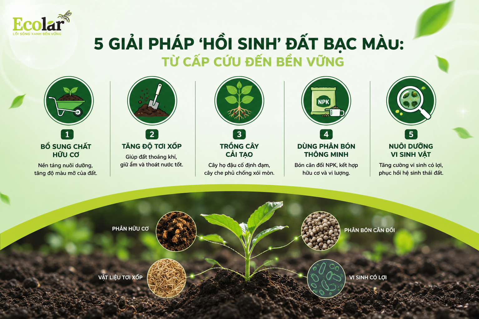 5 Giải Pháp 'Hồi Sinh' Đất Bạc Màu: Từ Cấp Cứu Đến Bền Vững