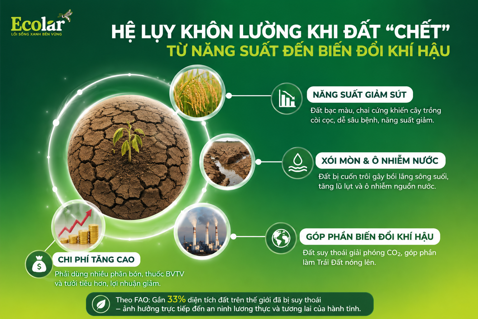 Hệ Lụy Khôn Lường Khi Đất 'Chết': Từ Năng Suất Đến Biến Đổi Khí Hậu