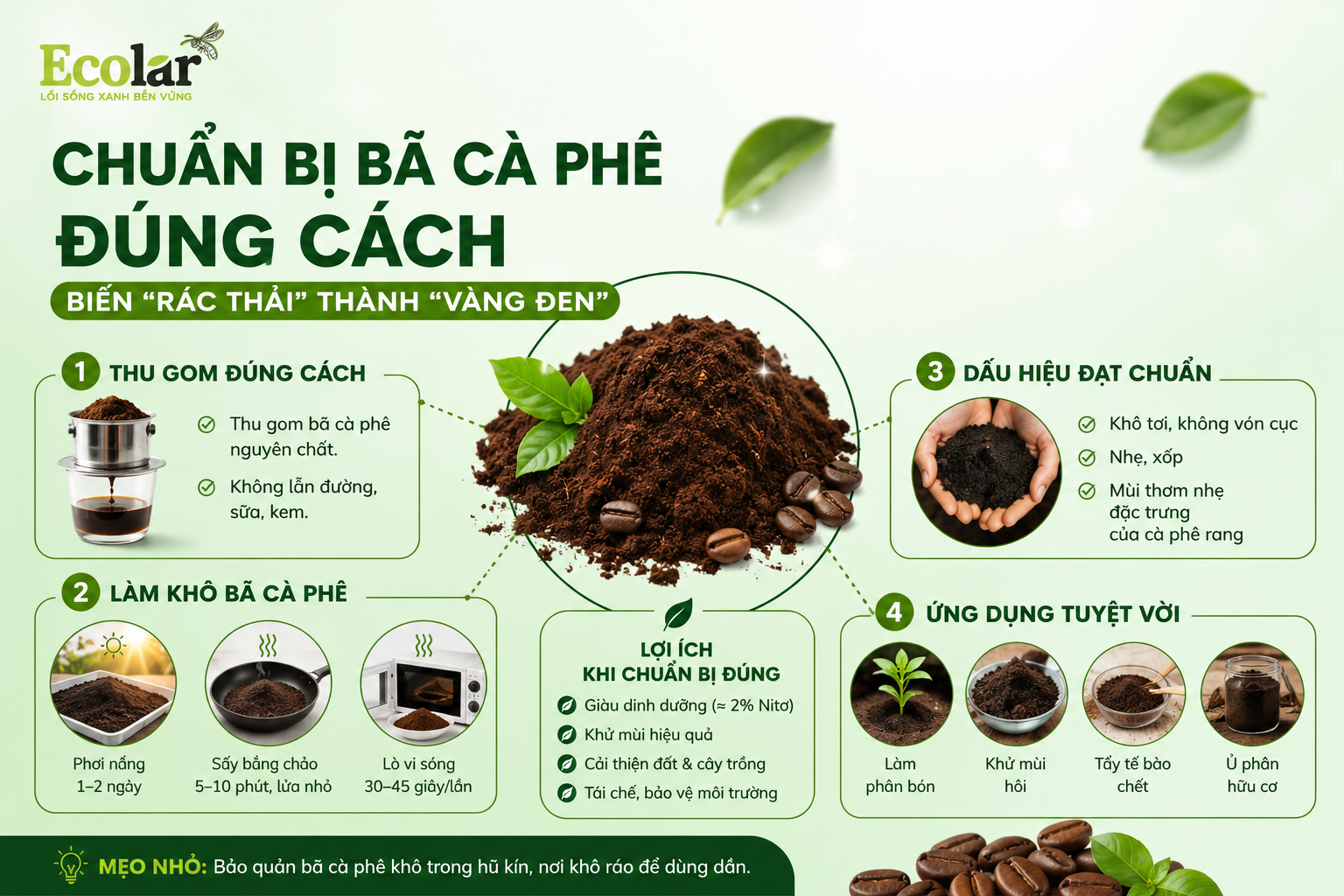 Tại Sao PHẢI Ủ Bã Cà Phê Trước Khi Bón? Hiểu Lầm Chết Người Khiến Cây Cháy Rễ