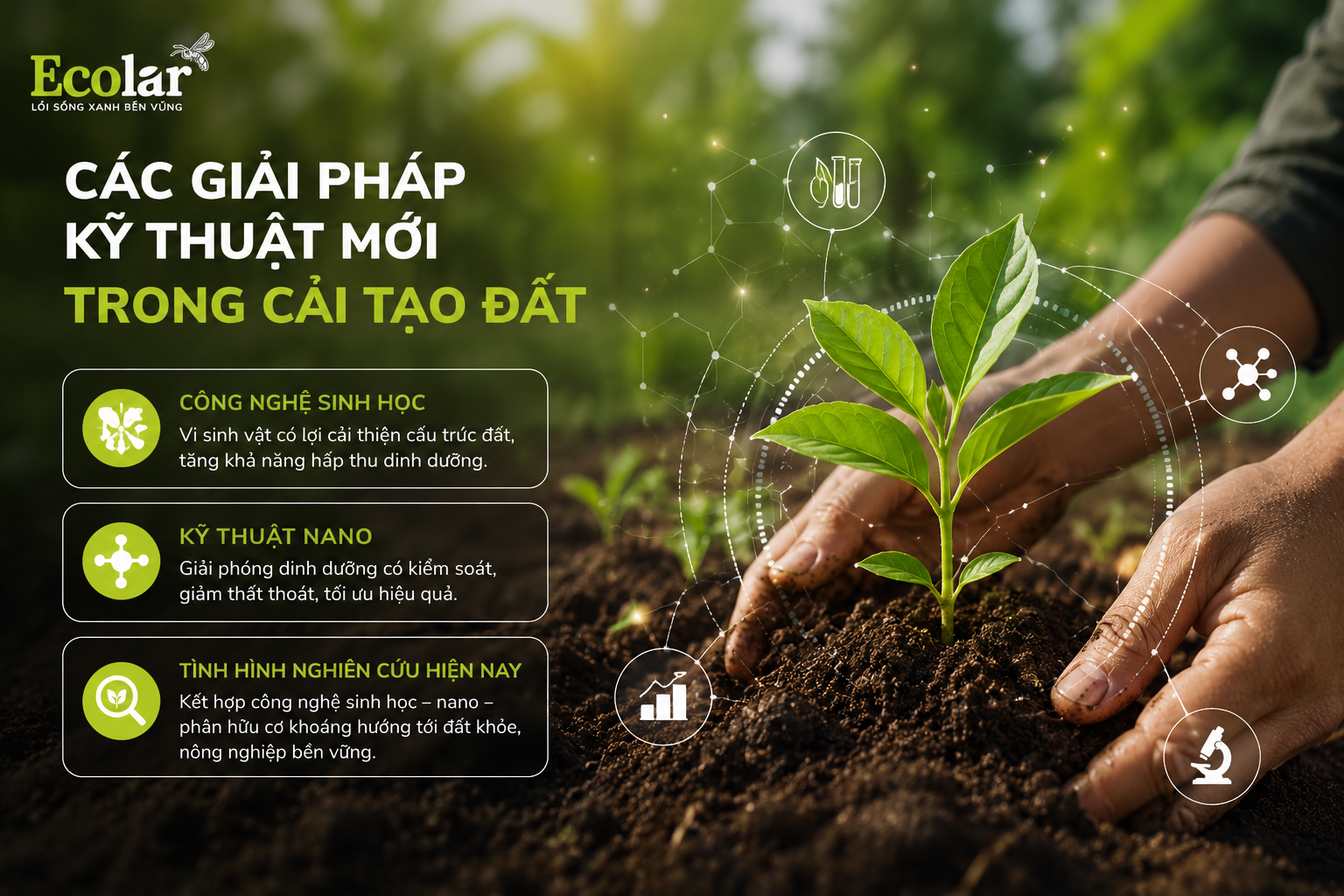 Các Giải Pháp Kỹ Thuật Mới trong Cải Tạo Đất