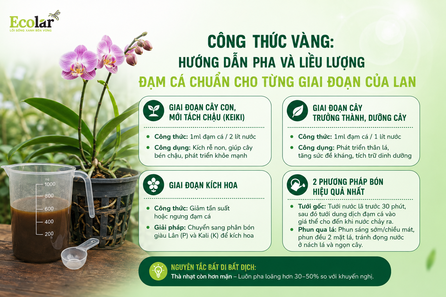Công Thức Vàng: Hướng Dẫn Pha Và Liều Lượng Đạm Cá Chuẩn Cho Từng Giai Đoạn Của Lan