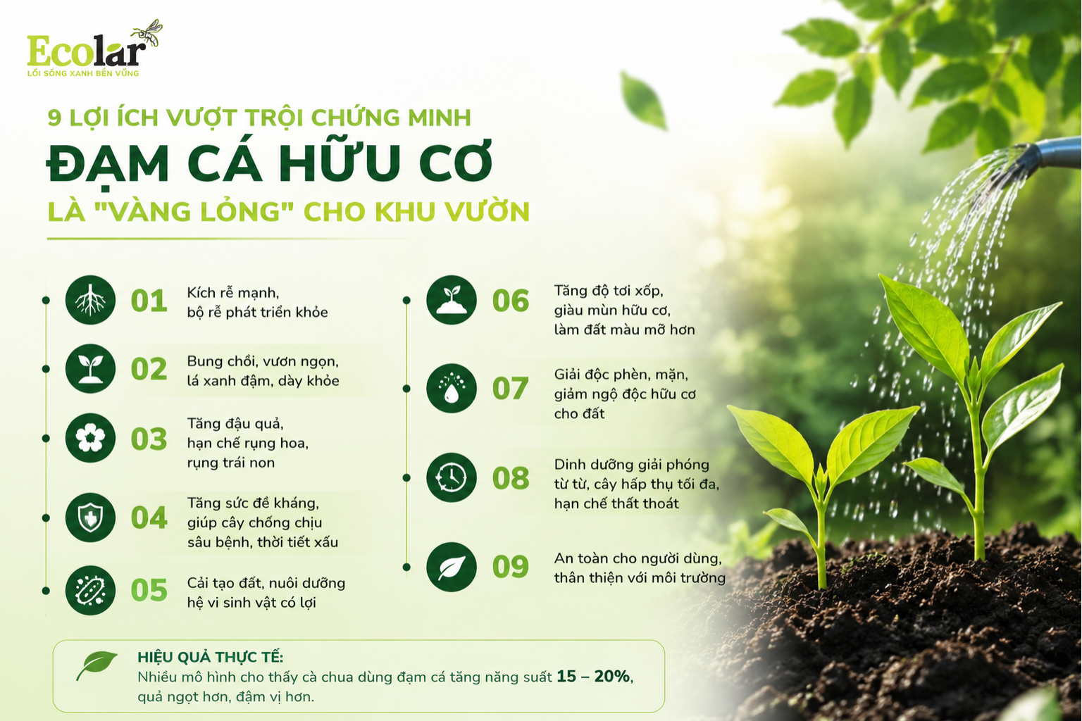 9 Lợi Ích Vượt Trội Chứng Minh Đạm Cá Hữu Cơ Là 'Vàng Lỏng' Cho Khu Vườn