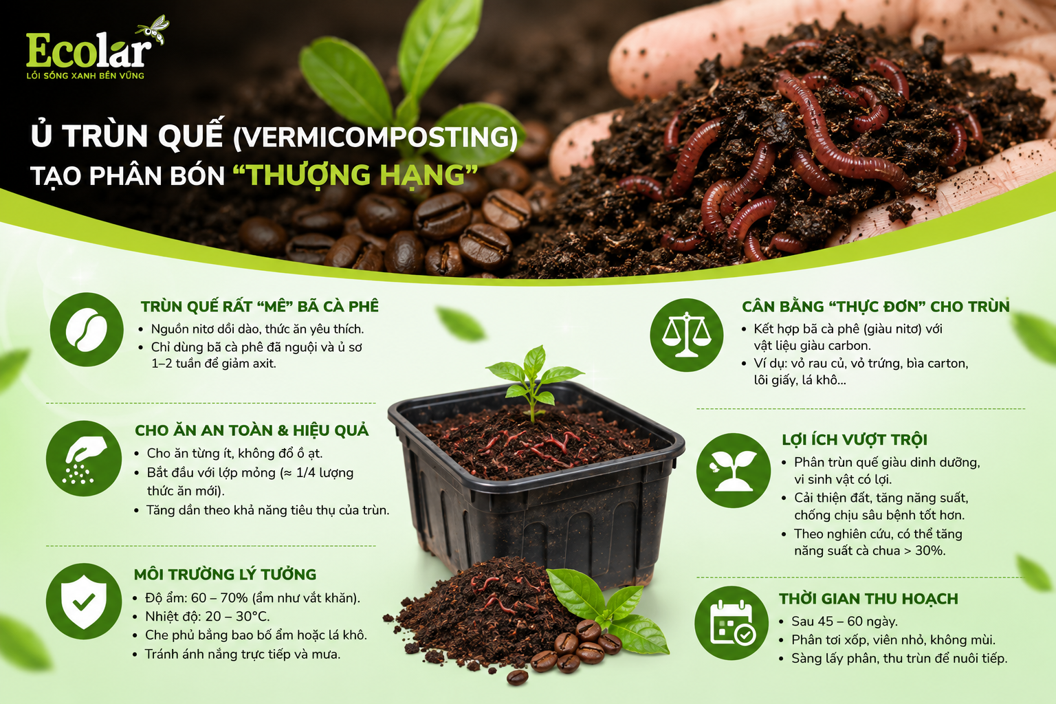 Phương Pháp 2: Ủ Trùn Quế (Vermicomposting) - Tạo Phân Bón 'Thượng Hạng'