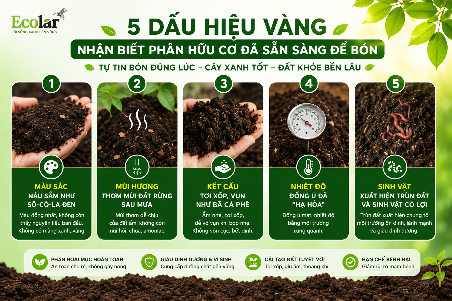 5 Dấu Hiệu Vàng Nhận Biết Phân Hữu Cơ Đã Sẵn Sàng Để Bón