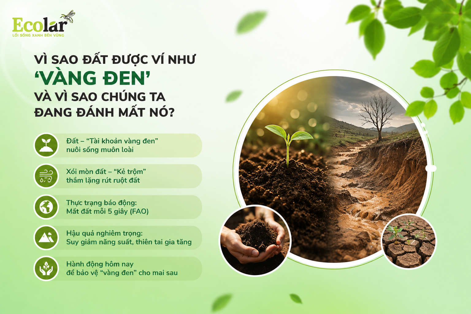 Mở Đầu: Tại Sao Đất Được Ví Như 'Vàng Đen' và Vì Sao Chúng Ta Đang Đánh Mất Nó?
