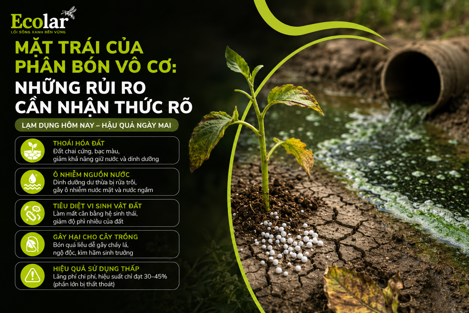 Mặt Trái Của Phân Bón Vô Cơ: Những Rủi Ro Cần Nhận Thức Rõ