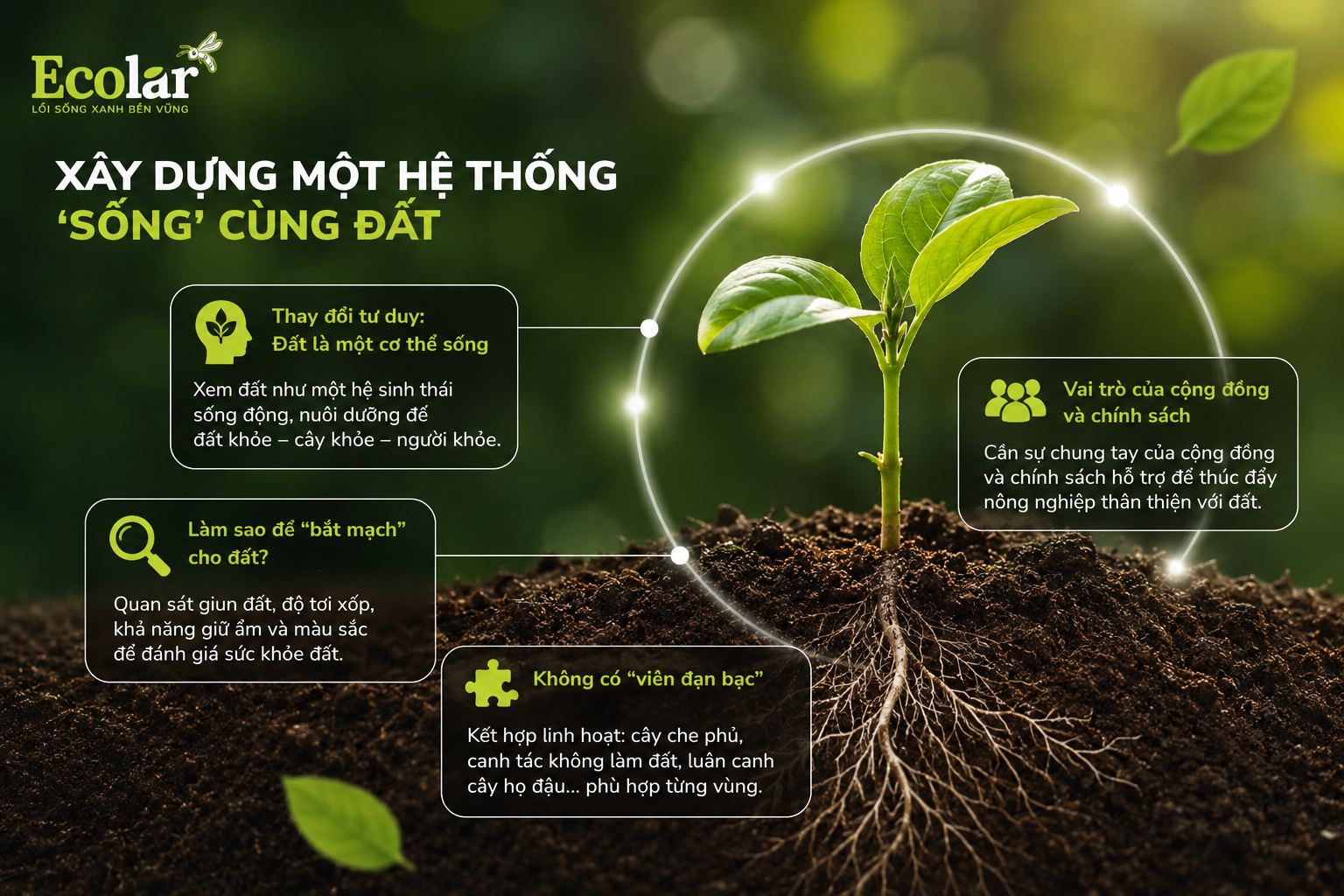 Tầm Nhìn Dài Hạn: Xây Dựng Một Hệ Thống 'Sống' Cùng Đất