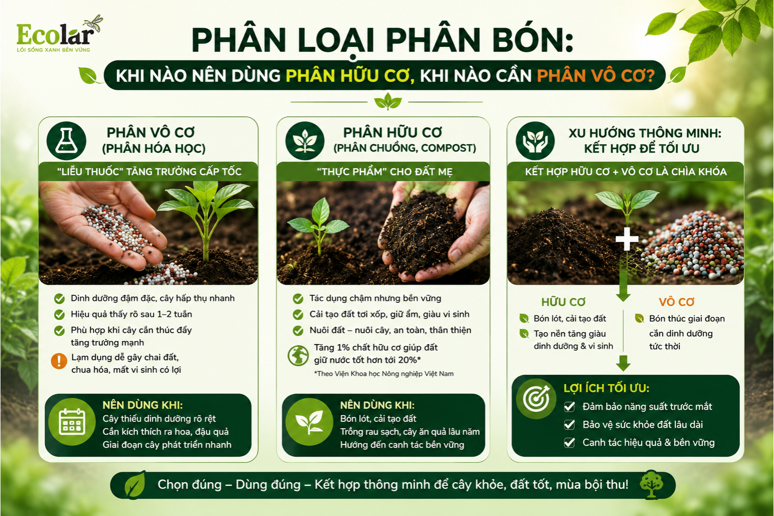 Phân Loại Phân Bón: Khi Nào Nên Dùng Phân Hữu Cơ, Khi Nào Cần Phân Vô Cơ?