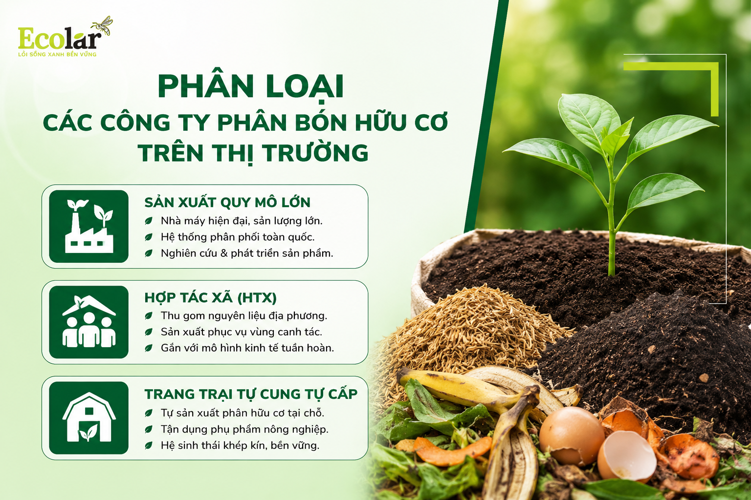 Phân Loại các Công Ty Phân Bón Hữu Cơ trên Thị Trường
