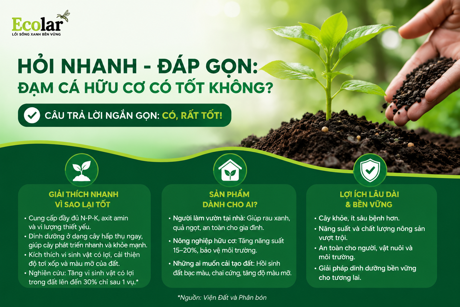 Hỏi Nhanh - Đáp Gọn: Đạm Cá Hữu Cơ Có Tốt Không?