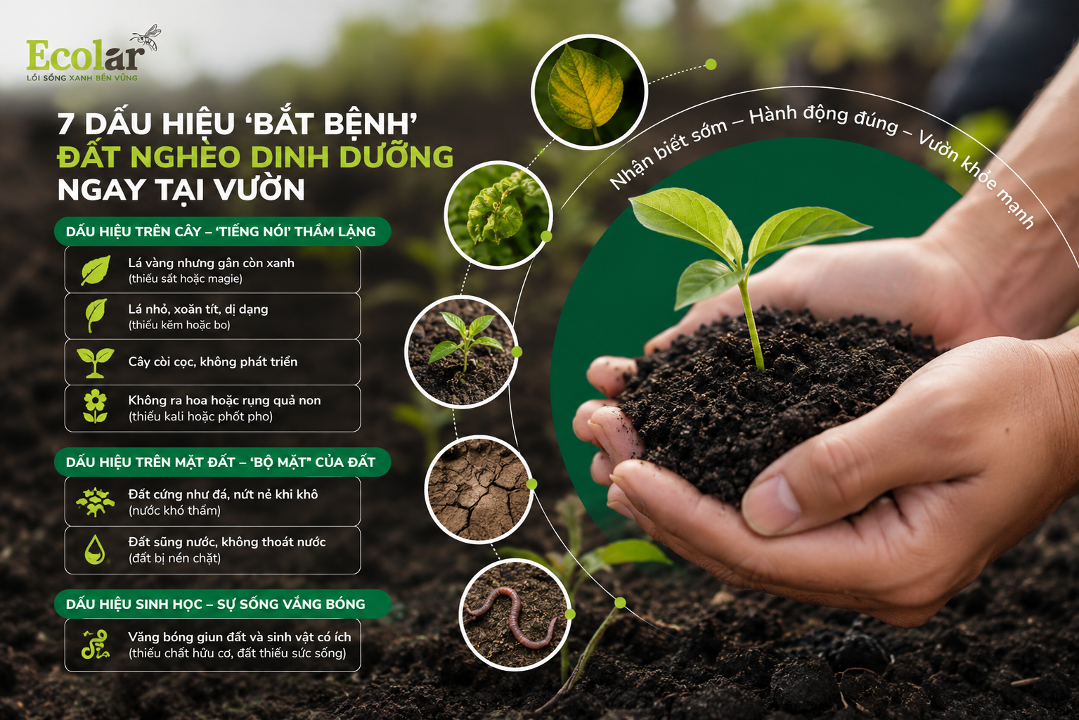 7 Dấu Hiệu 'Bắt Bệnh' Đất Nghèo Dinh Dưỡng Ngay Tại Vườn