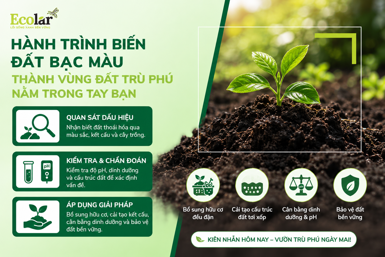 Hành Trình Biến Đất Bạc Màu Thành Vùng Đất Trù Phú Nằm Trong Tay Bạn
