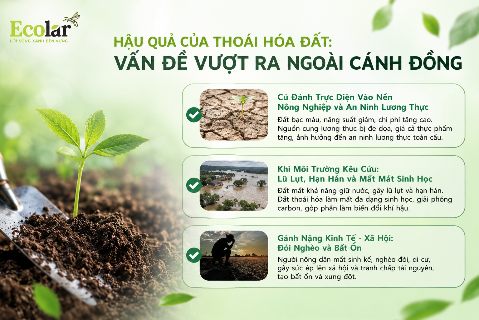 Hậu Quả Của Thoái Hóa Đất: Vấn Đề Vượt Ra Ngoài Cánh Đồng