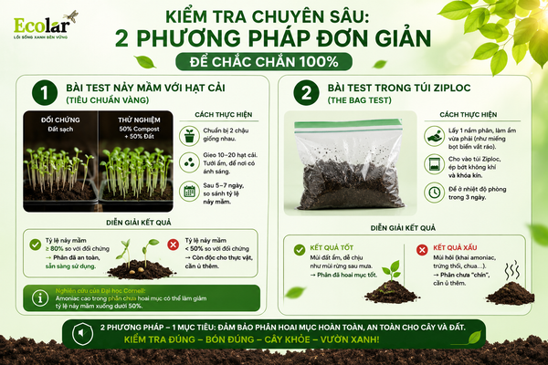 Kiểm Tra Chuyên Sâu: 2 Phương Pháp Đơn Giản Để Chắc Chắn 100%