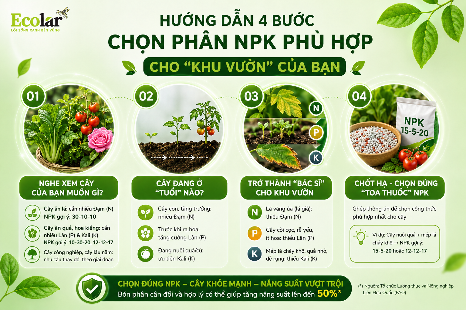 Hướng Dẫn 4 Bước Chọn Phân NPK Phù Hợp Cho 'Khu Vườn' Của Bạn