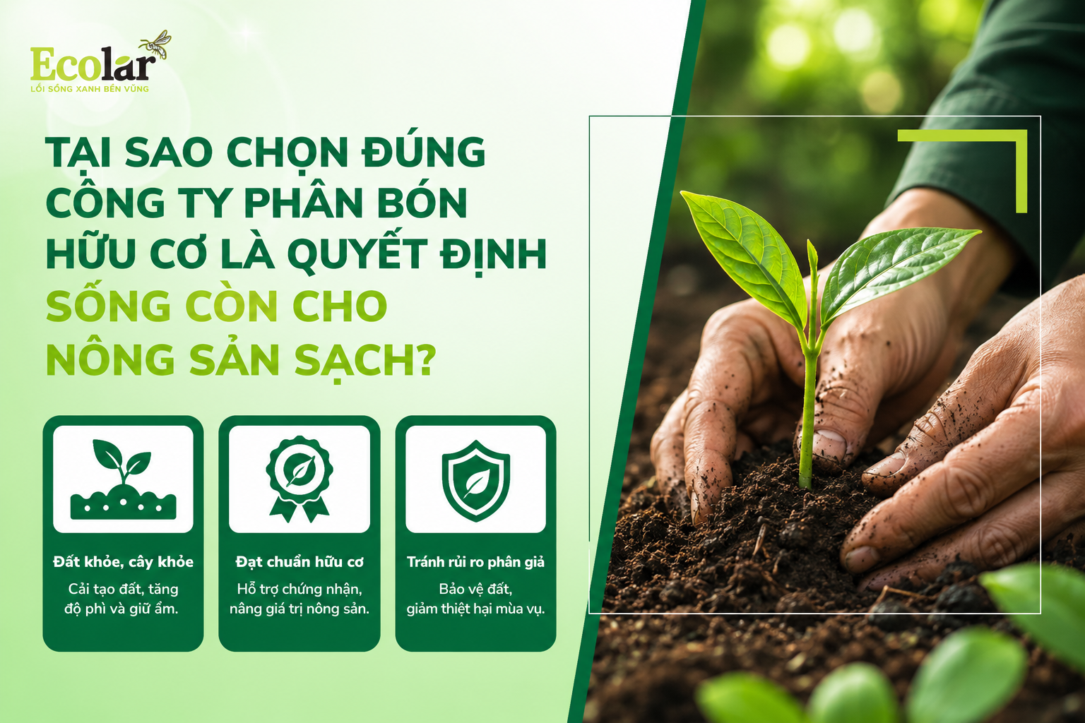 Tại Sao Chọn Đúng Công Ty Phân Bón Hữu Cơ Là Quyết Định Sống Còn Cho Nông Sản Sạch?