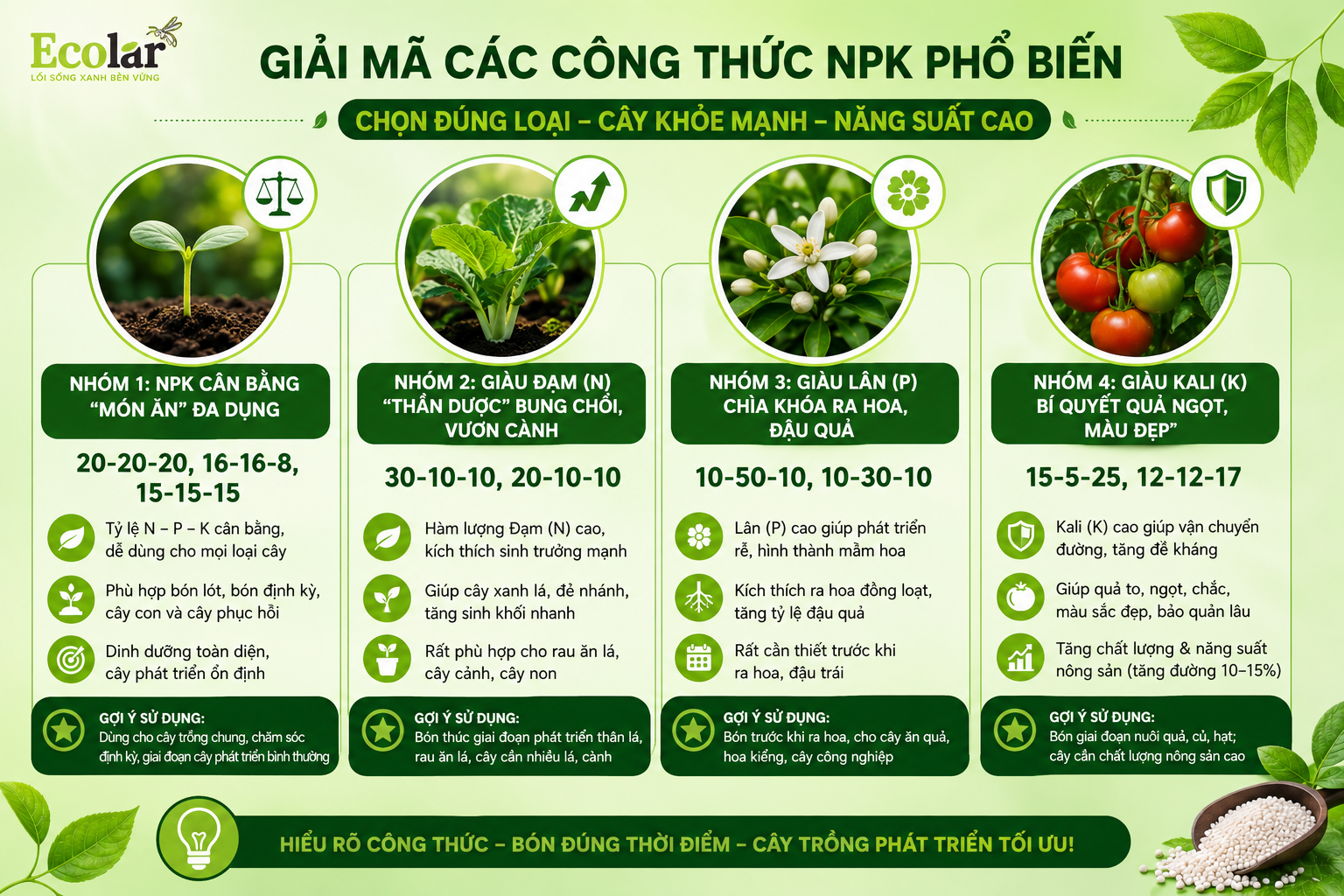 Phân NPK: Giải Mã Bí Ẩn Đằng Sau Những Con Số Trên Bao Bì Phân Bón