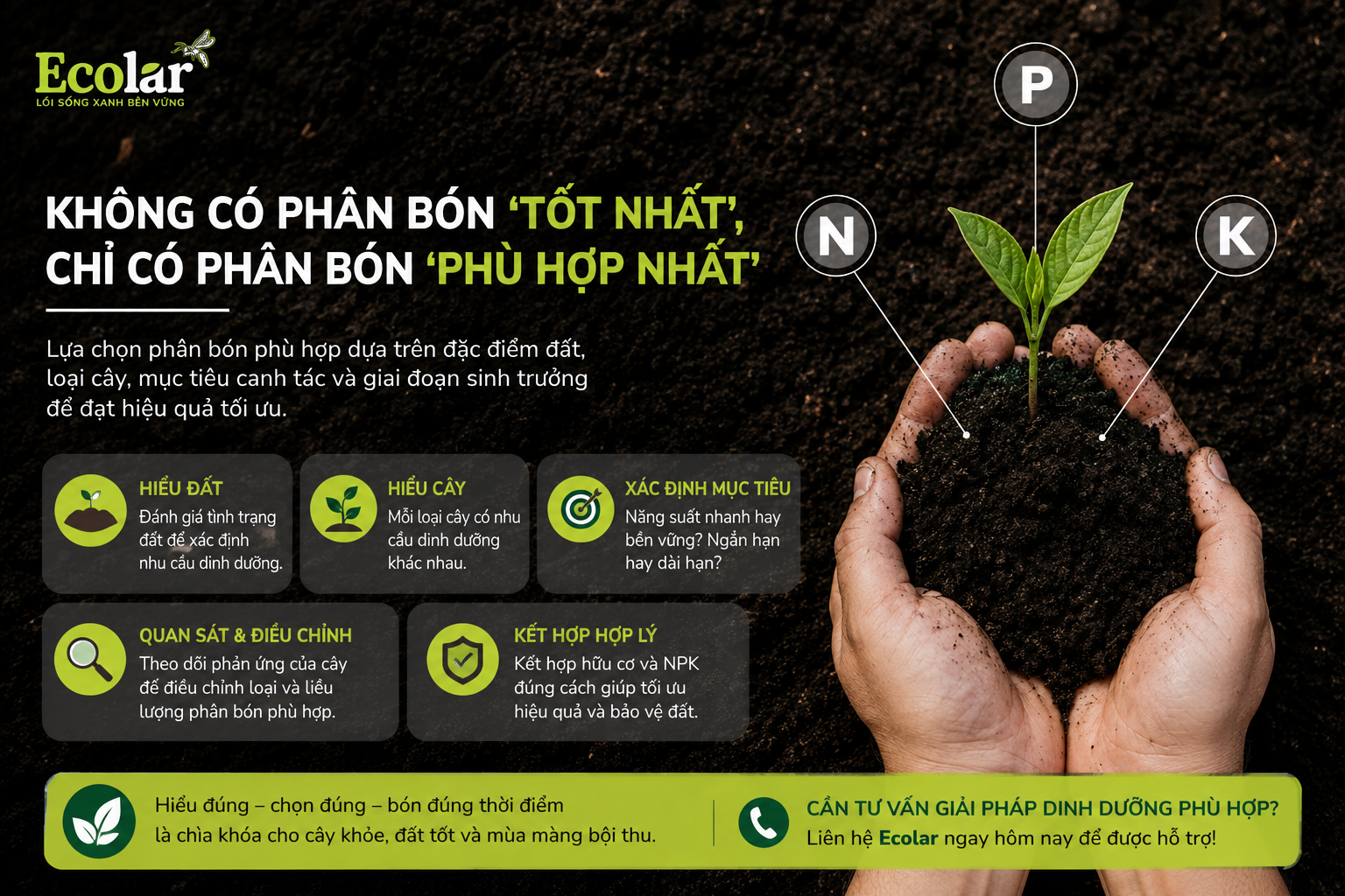 Kết Luận: Không Có Phân Bón 'Tốt Nhất', Chỉ Có Phân Bón 'Phù Hợp Nhất'