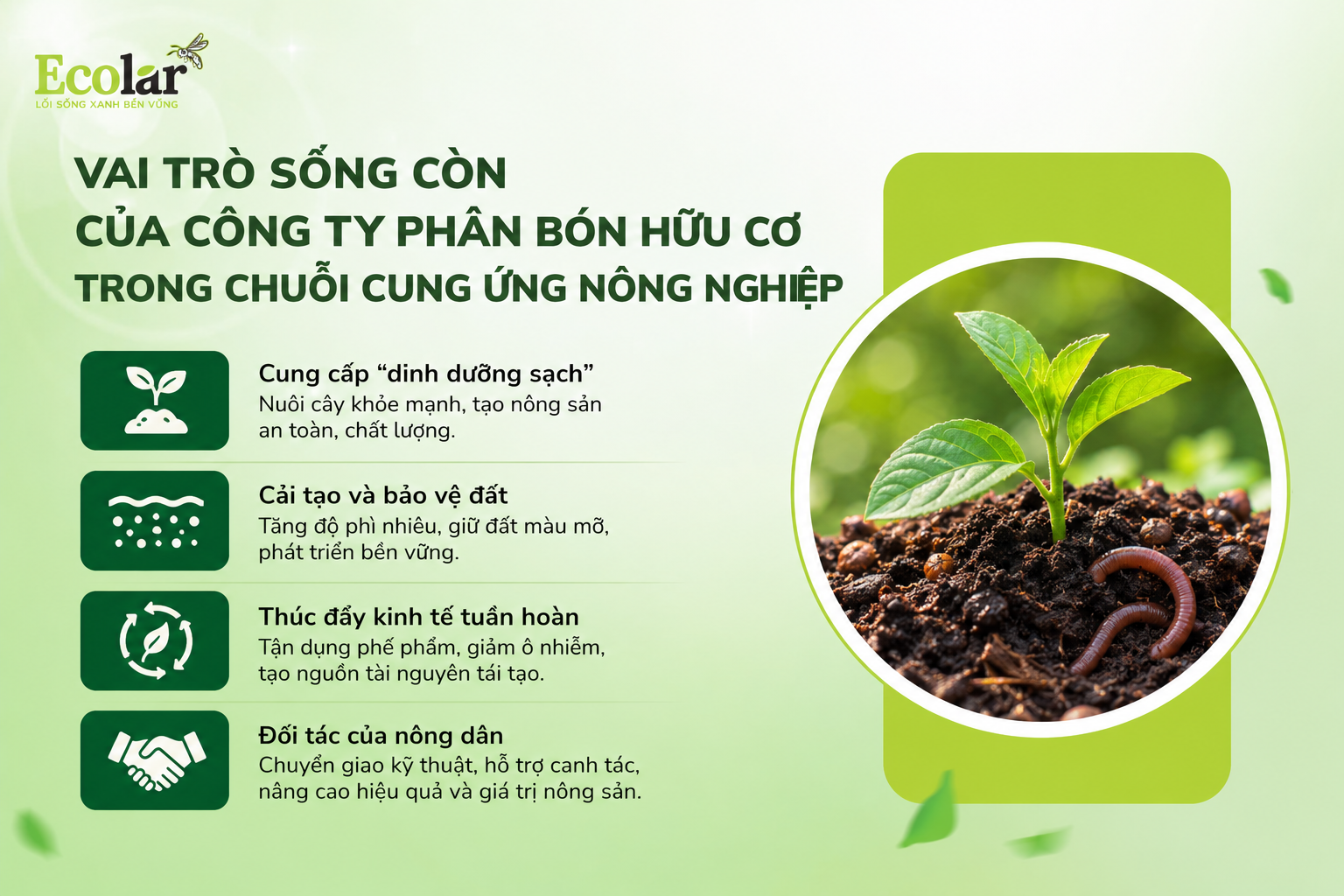 Vai Trò Sống Còn của Công Ty Phân Bón Hữu Cơ trong Chuỗi Cung Ứng Nông Nghiệp