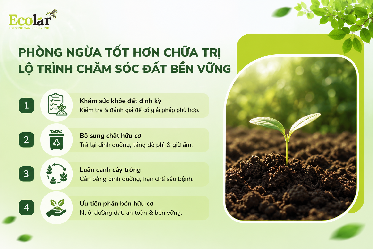 Phòng Ngừa Tốt Hơn Chữa Trị: Lộ Trình Chăm Sóc Đất Bền Vững