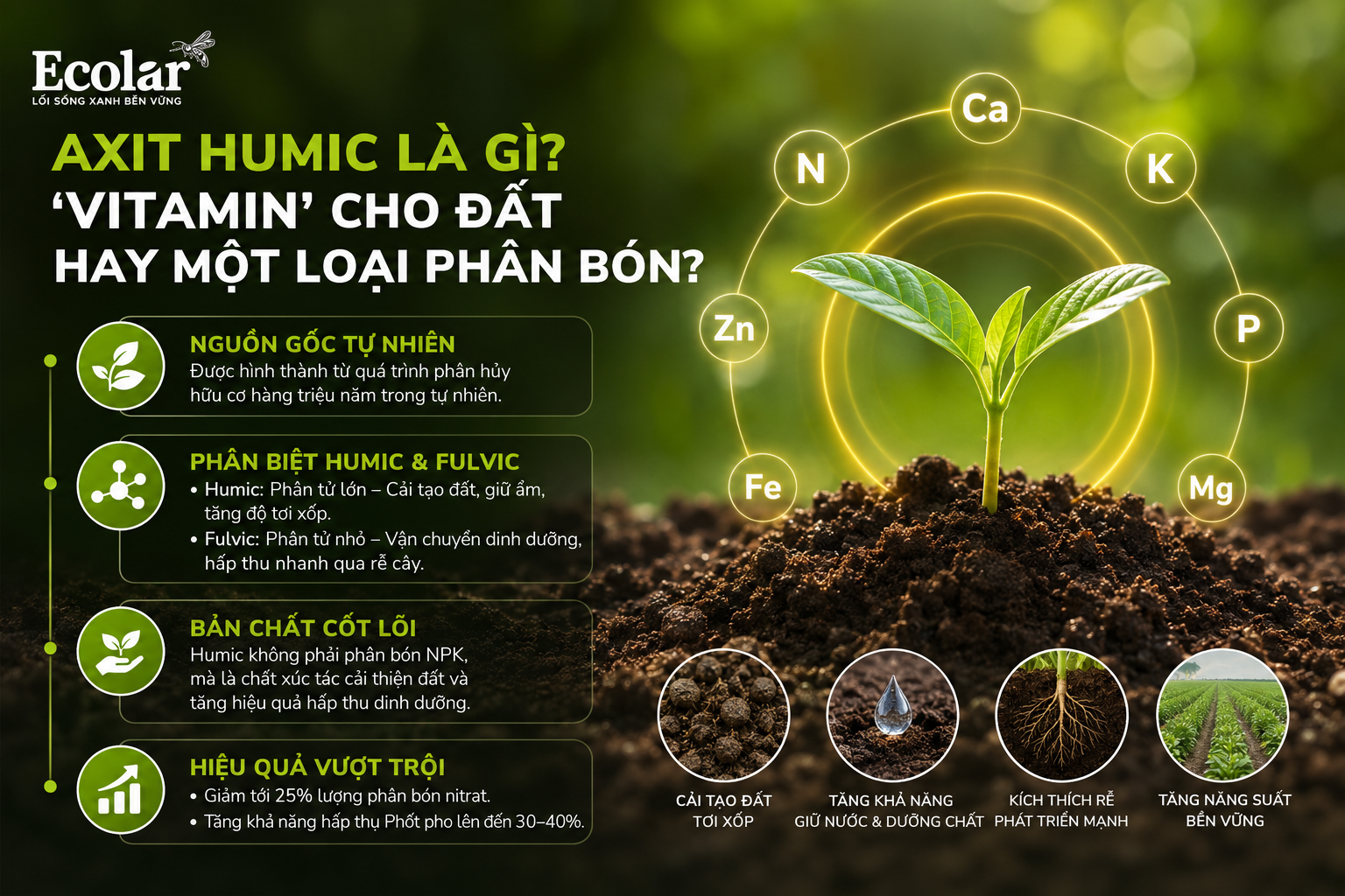 Axit Humic Là Gì? 'Vitamin' Cho Đất Hay Một Loại Phân Bón?