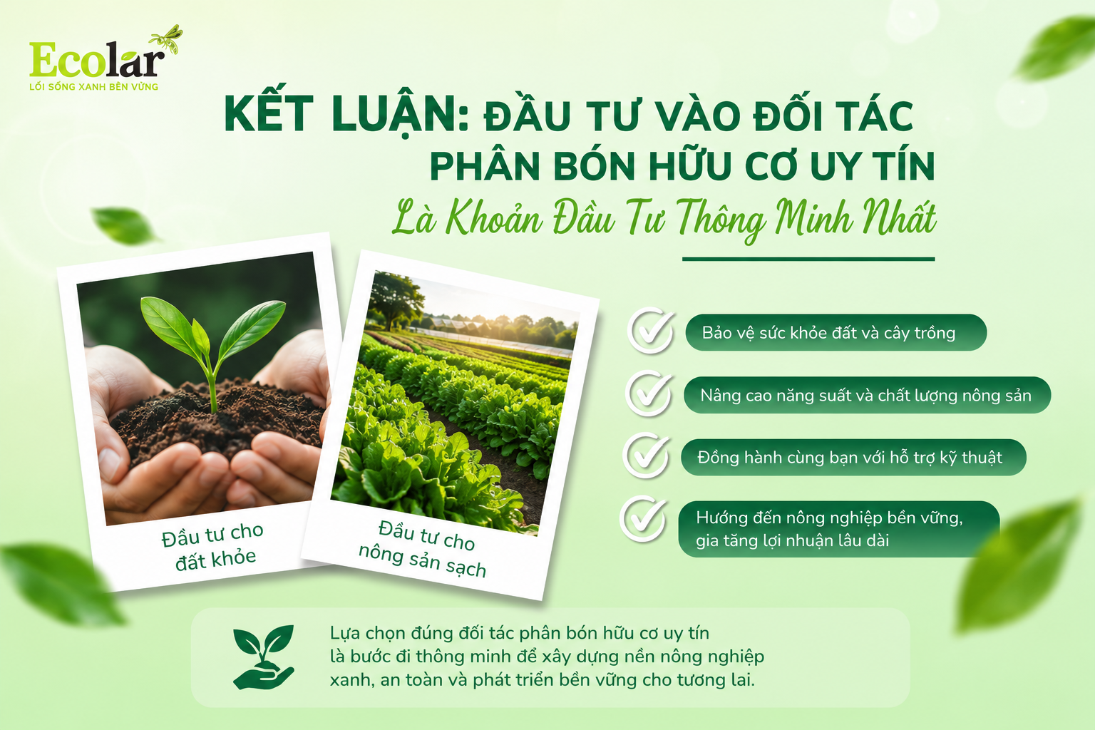 Kết Luận: Đầu Tư Vào Đối Tác Phân Bón Hữu Cơ Uy Tín Là Khoản Đầu Tư Thông Minh Nhất