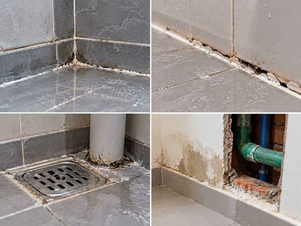 Vì sao chân tường nhà vệ sinh dễ bị thấm