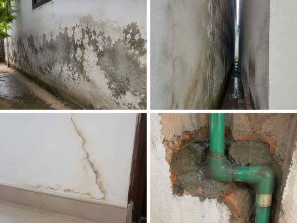 Vì sao tường nhà bị thấm ngược