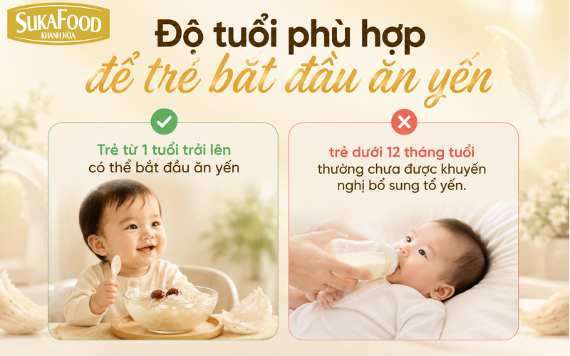 do-tuoi-phu-hop-de-tre-bat-dau-an-yen