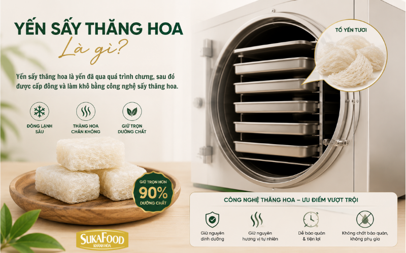 Yến sấy thăng hoa sau quá trình cấp đông và sấy trong môi trường chân không