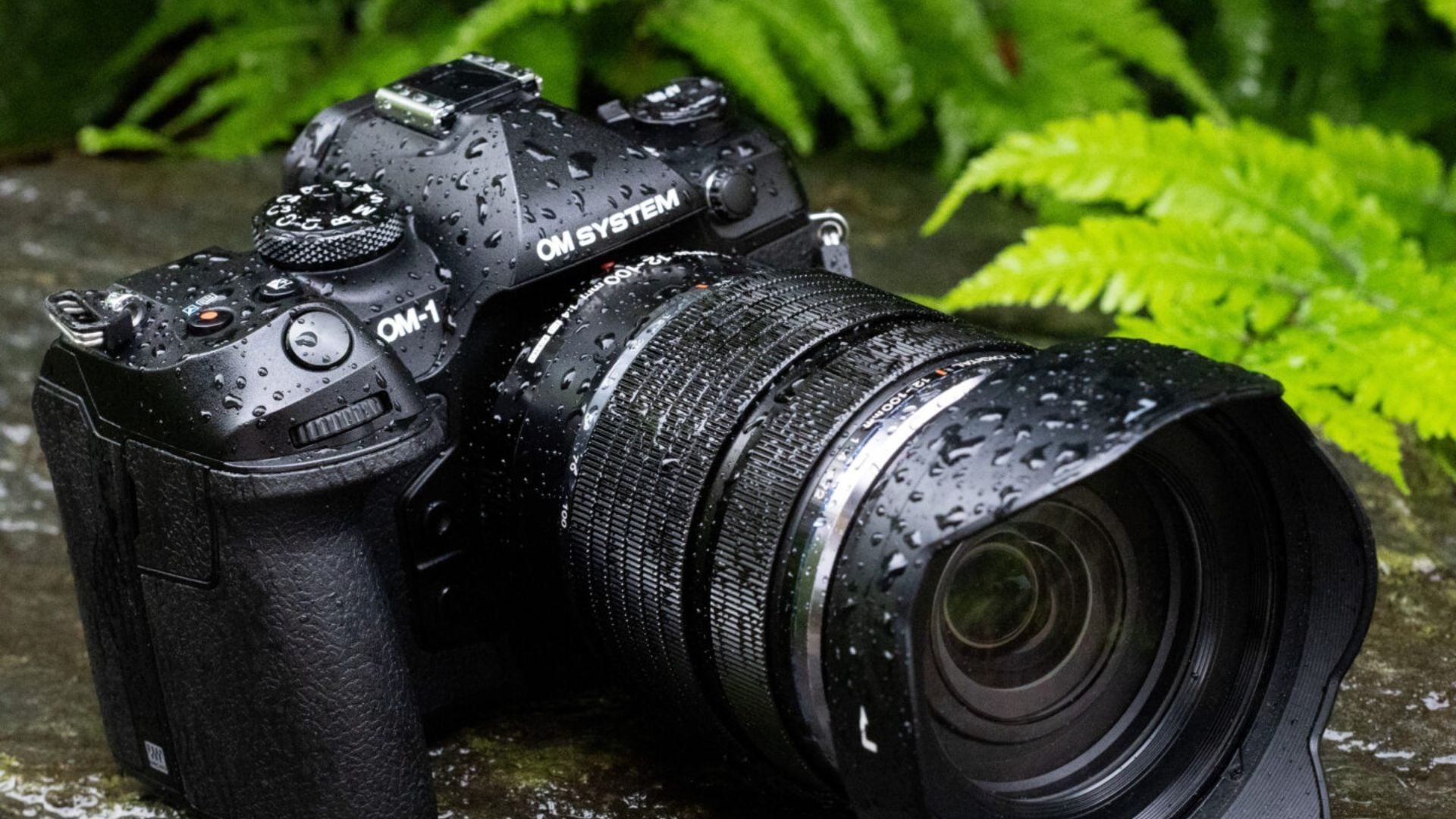 OM SYSTEM OM-1 Mark II: Hiệu năng cao cho tác nghiệp ngoài trời