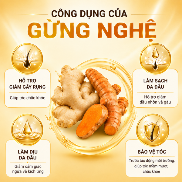 Khám phá công dụng của gừng, nghệ với mái tóc