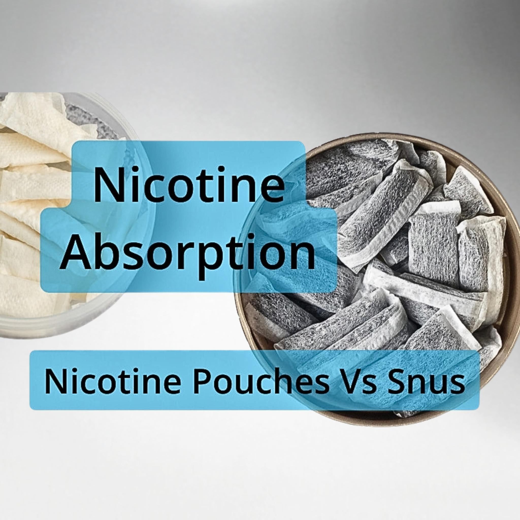 Nicotine Absorption: Nicotine Pouches Vs Snus