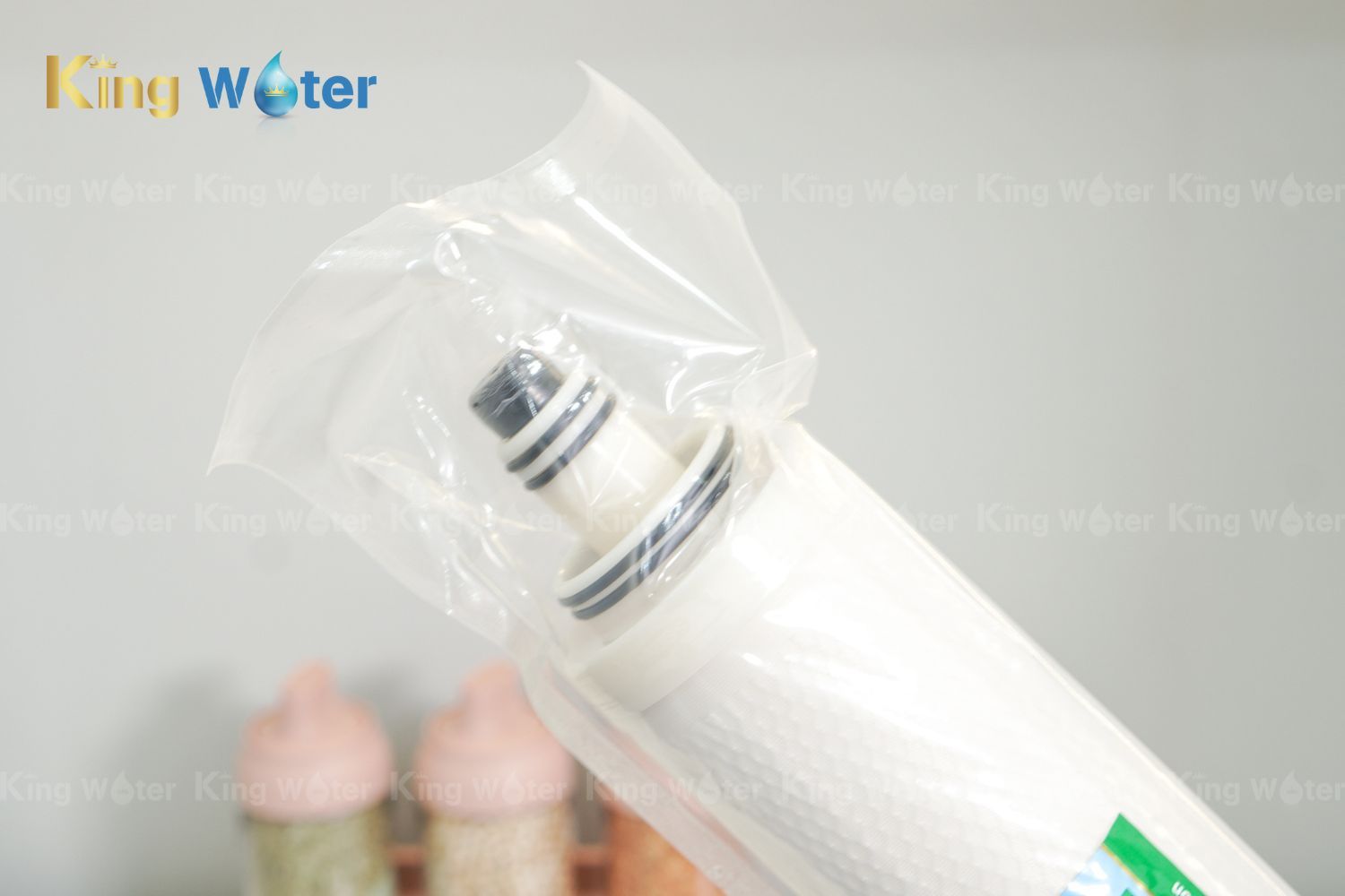 Thay lõi AOSmith RO Side Stream (600 GPD) chính hãng tại KingWater